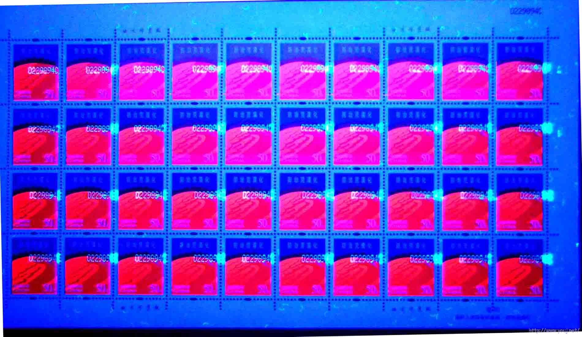 50分0229994C喷码  移位.jpg