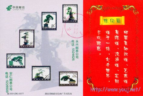 邮政业务宣传明信片 集邮.jpg