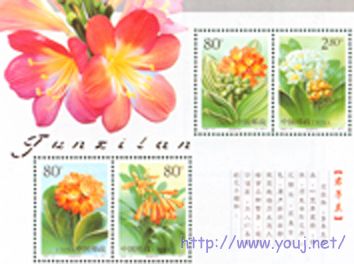 君子兰小全张 小.jpg