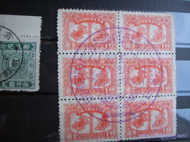 SSL10132 Resized.JPG