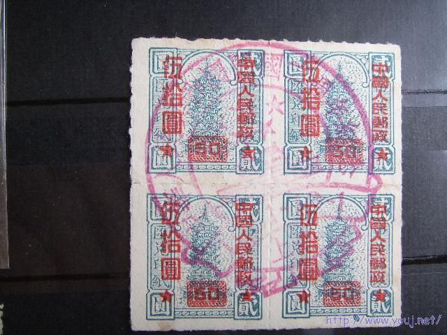 SSL10133 Resized.JPG