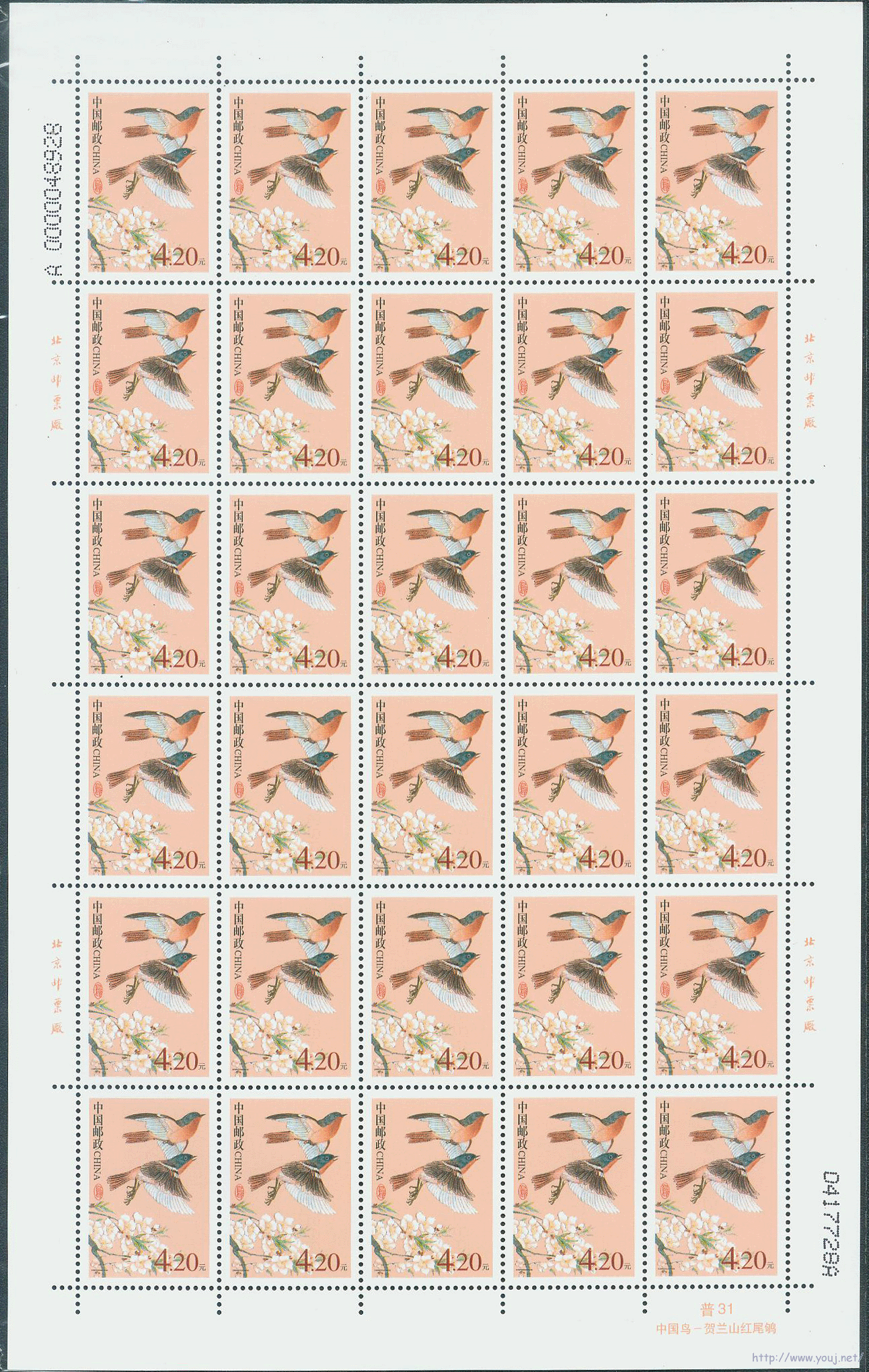 R31 4.2元双号.gif