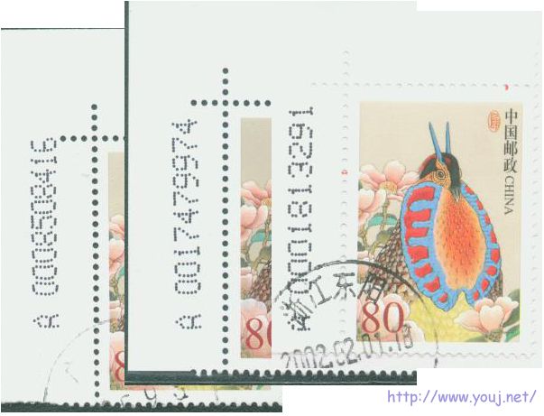 普31 80分明码长短差异.jpg