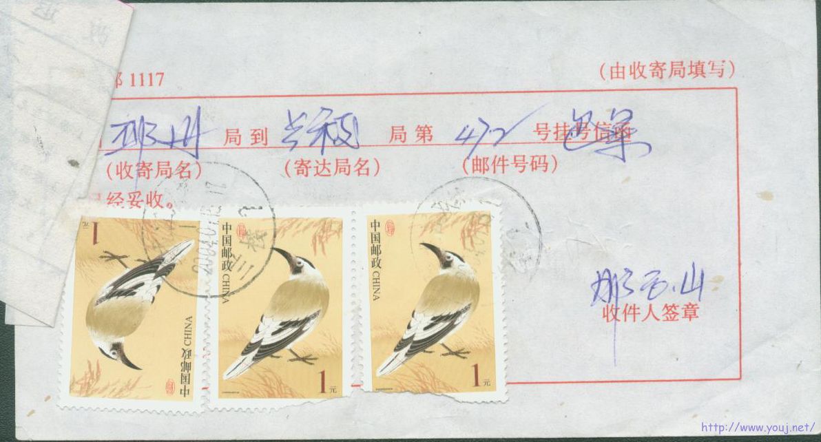 普31 1元回执.jpg