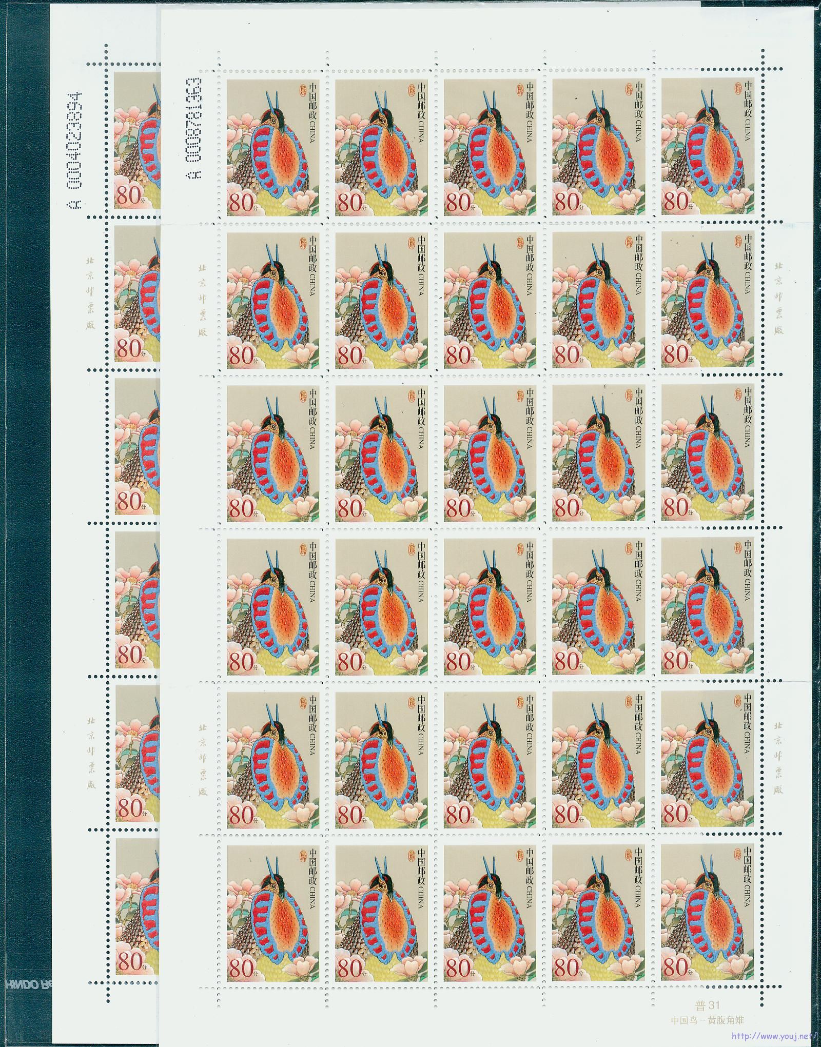 普31 80分不同长度A+10喷码.jpg