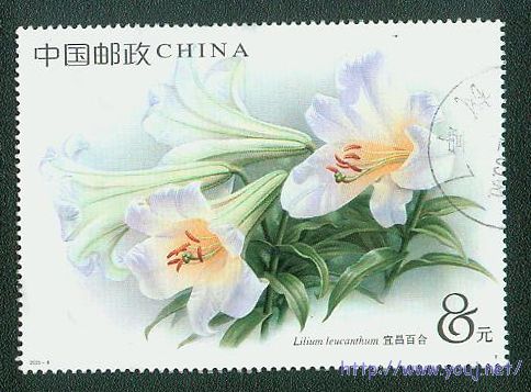 2003-4无框.jpg