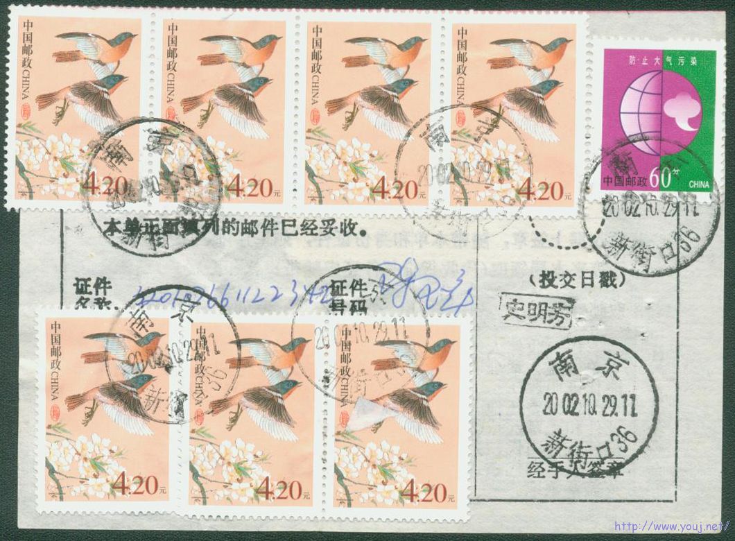 普31 4.2元海关特别处理费和验关费.jpg