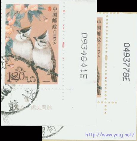 普31 120分7+E明码长度差异.jpg