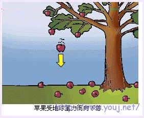 重力向下落图