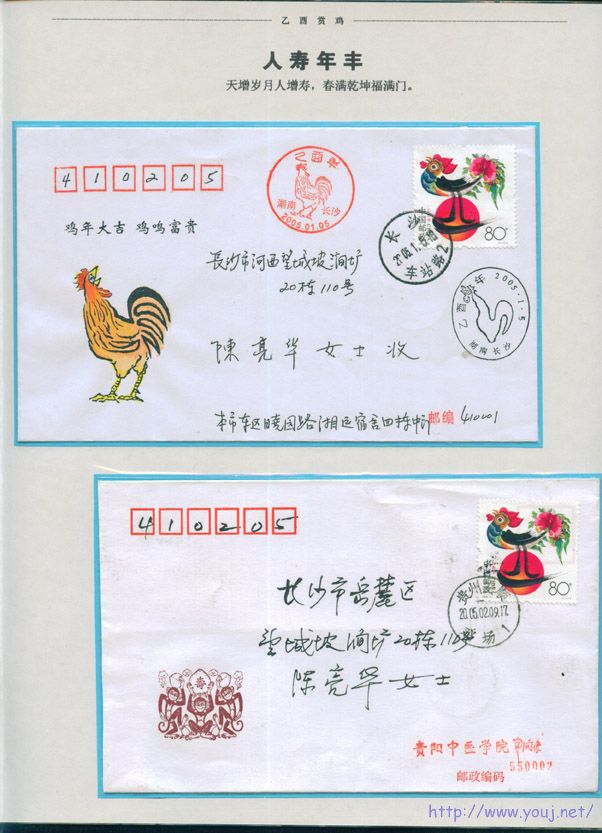 乙酉赏鸡6 副本.jpg