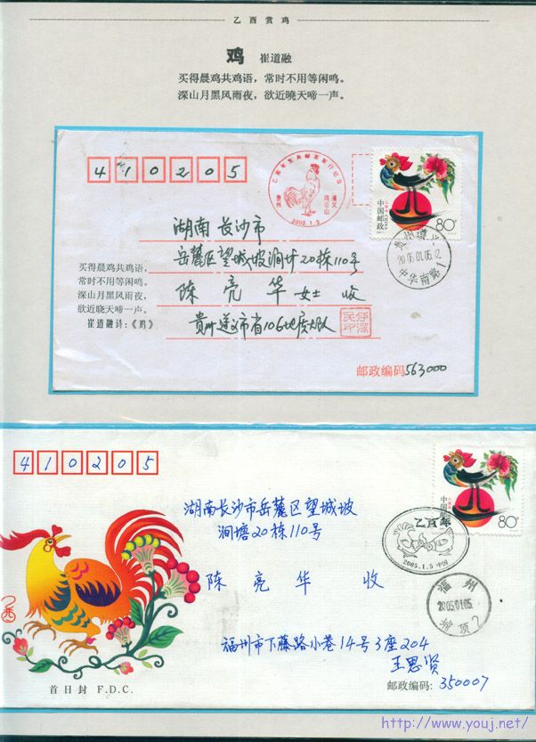 乙酉赏鸡7 副本.jpg