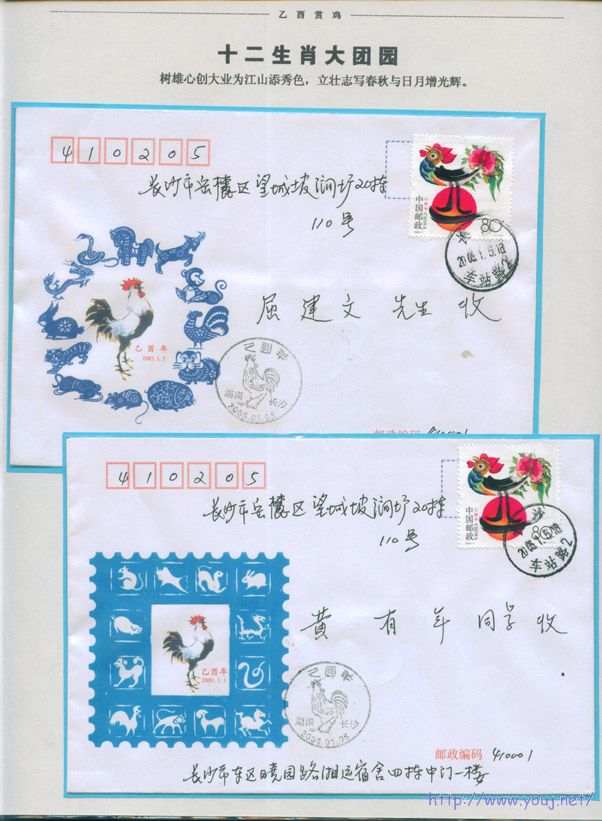 乙酉赏鸡9 副本.jpg