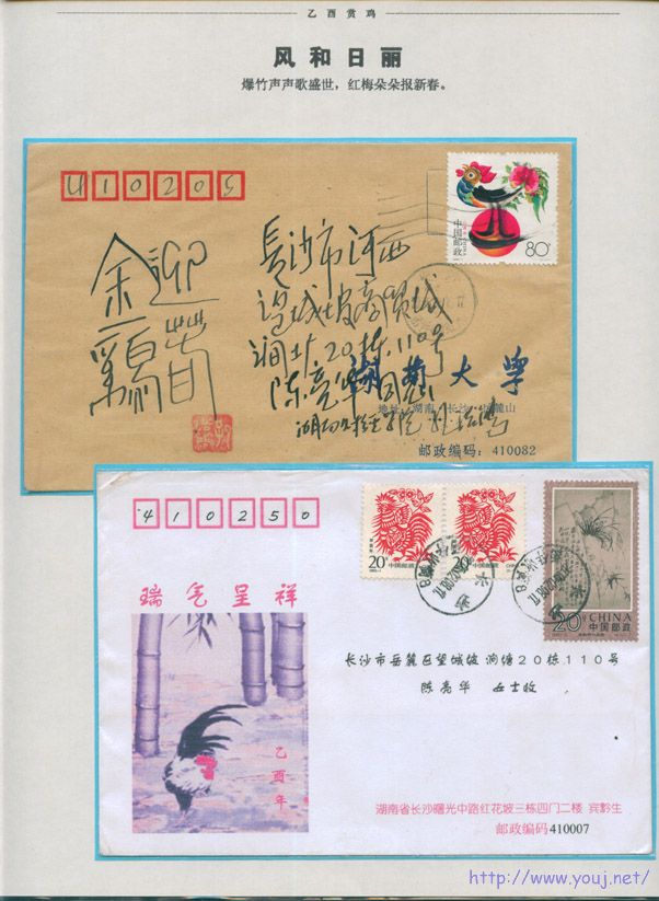 乙酉赏鸡8 副本.jpg