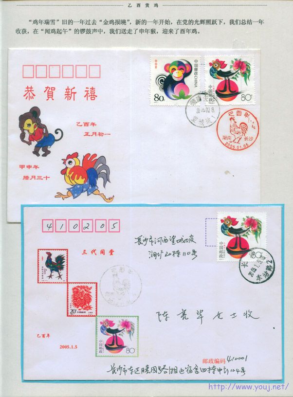 乙酉赏鸡2 副本.jpg