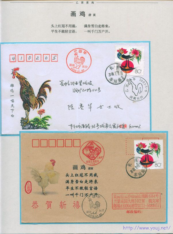 乙酉赏鸡3 副本.jpg