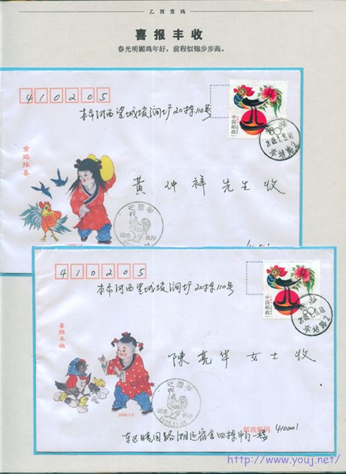 乙酉赏鸡12 副本.jpg