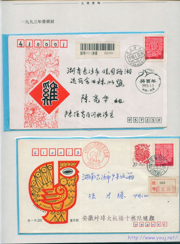 乙酉赏鸡17 副本.jpg