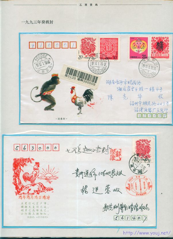 乙酉赏鸡14 副本.jpg