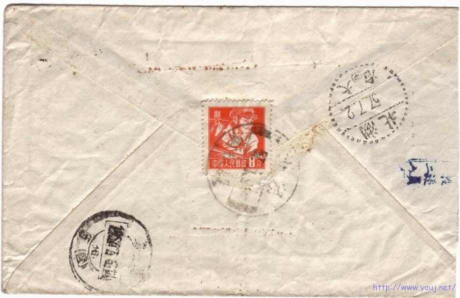 调整大小 图像-37.jpg