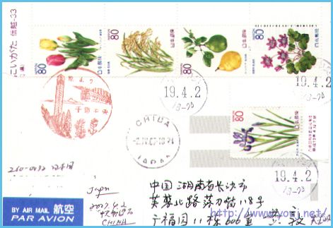日本花卉明信片03.jpg
