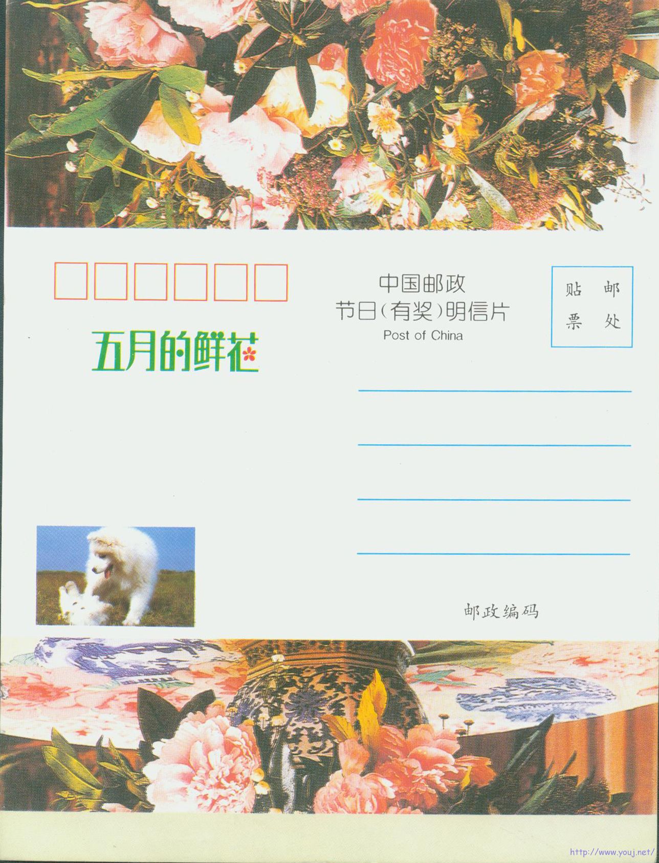 江苏省节日（有奖）明信片“五月的鲜花”4.jpg
