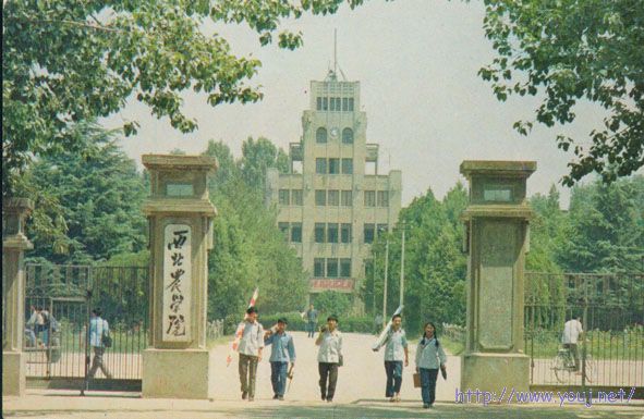 西北农学院校门.jpg