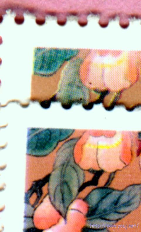 上假下真,印刷网纹特明显