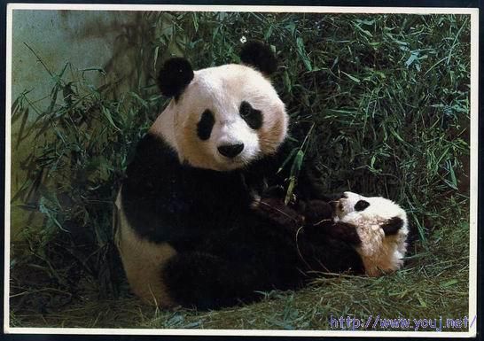 普22 20分国际片A.jpg