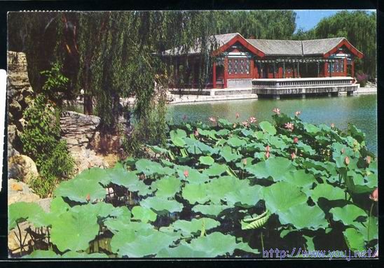 普28 290分民居合贴国际片B.jpg