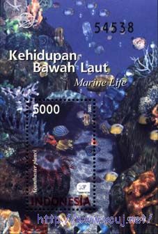 2002海洋动物 Ma.jpg