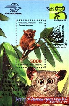 1999展览加字 Ma.jpg