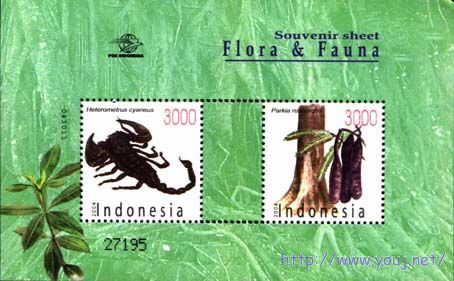 2004动植物 Ma.jpg