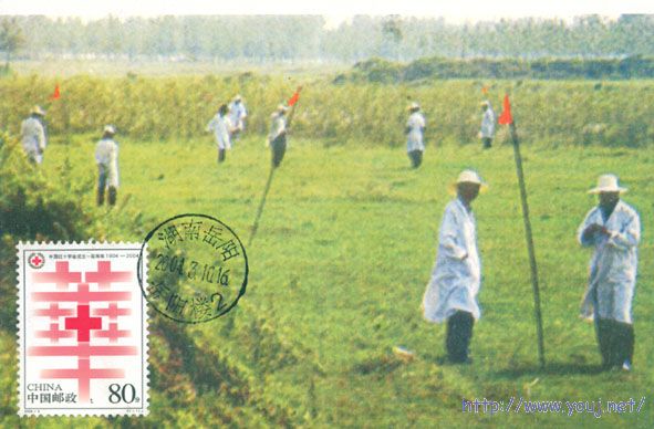 岳阳湖区灭钉螺