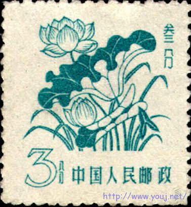 普10花卉邮票2.jpg