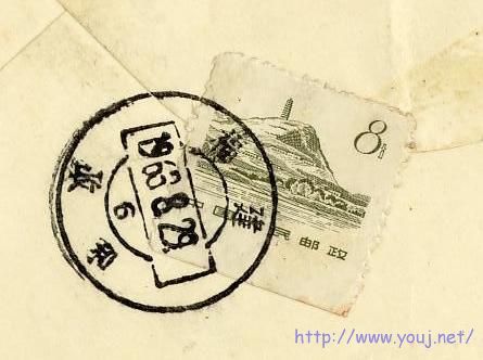 普12 8分长尾.JPG