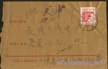 普13 8分线式齿11度4.jpg