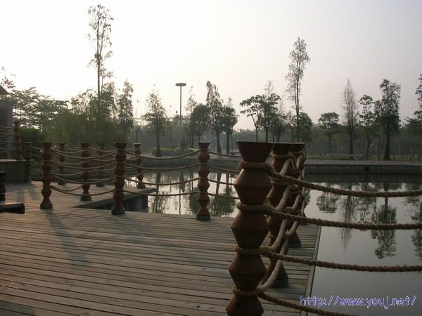 第二届侨批文化研讨会 107A.jpg