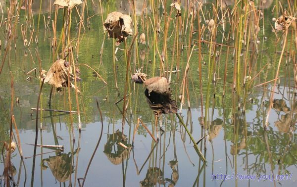 第二届侨批文化研讨会 223A.jpg