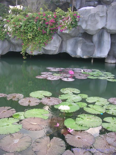 第二届侨批文化研讨会 207A.jpg