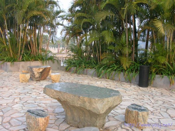 第二届侨批文化研讨会 163A.jpg