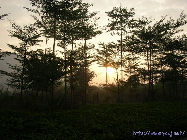 第二届侨批文化研讨会 159A.jpg