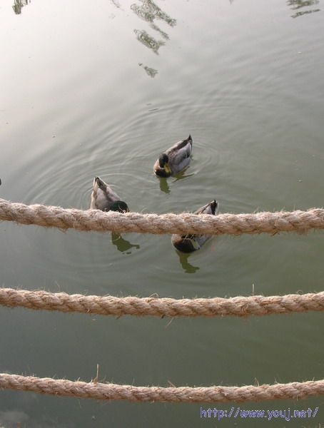 第二届侨批文化研讨会 109AAA.jpg