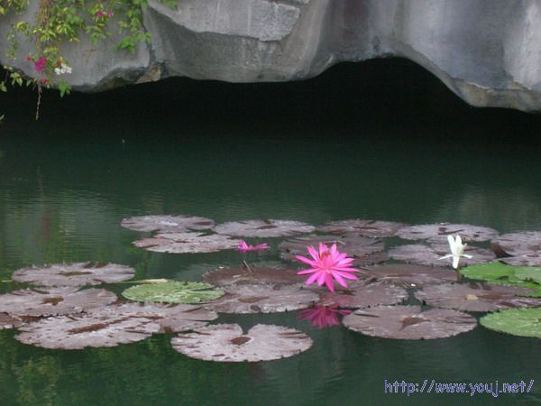 第二届侨批文化研讨会 204A.jpg