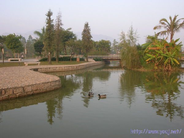 第二届侨批文化研讨会 160A.jpg