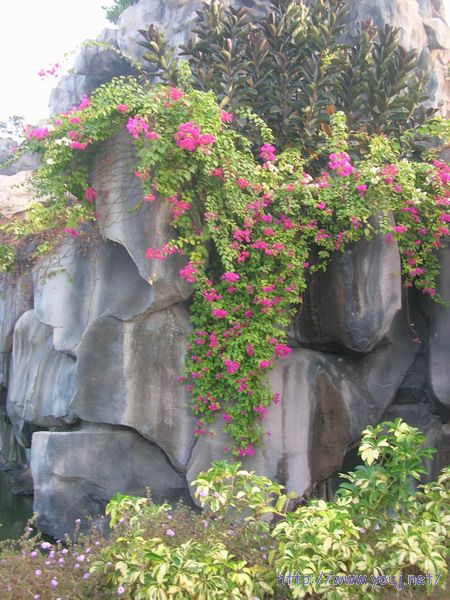 第二届侨批文化研讨会 199A.jpg