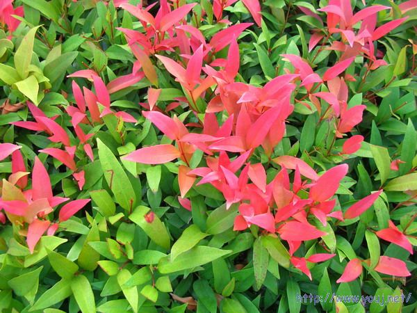 第二届侨批文化研讨会 208A.jpg