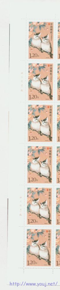 R31 1.2元边纸信息左.jpg