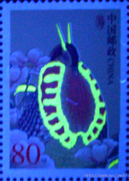 普31 80分赝品UV.jpg