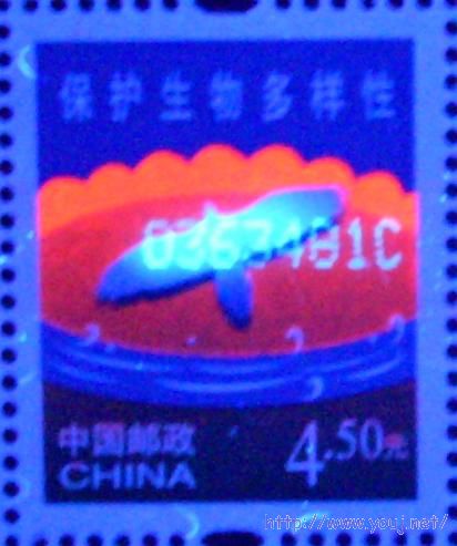 普31 450分CUV1.jpg