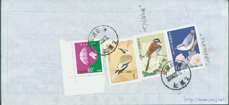 普31 5.4元包单.jpg